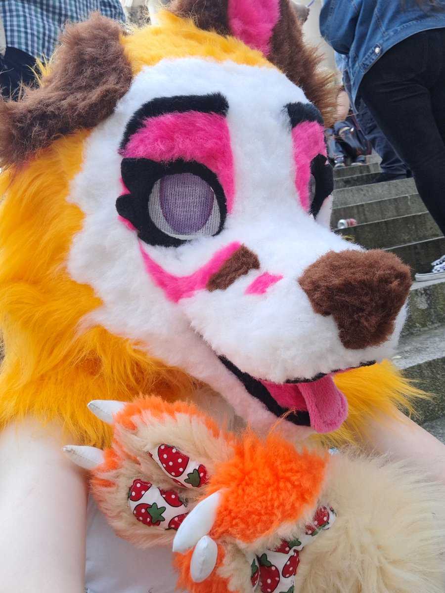 FurryHalcyon's tweet photo. Howdy y'all! I'm Aurora or Hound (it/its θΔ) 🐕

UK based 🏳️‍⚧️ trans 🏳️‍⚧️ dogthing making art, both 3d and 2d, and physical crafts (like fursuits!) ✨

🔊 Bark!! 🔊 Bark!! 🔊 https://t.co/esbBZc0DVX