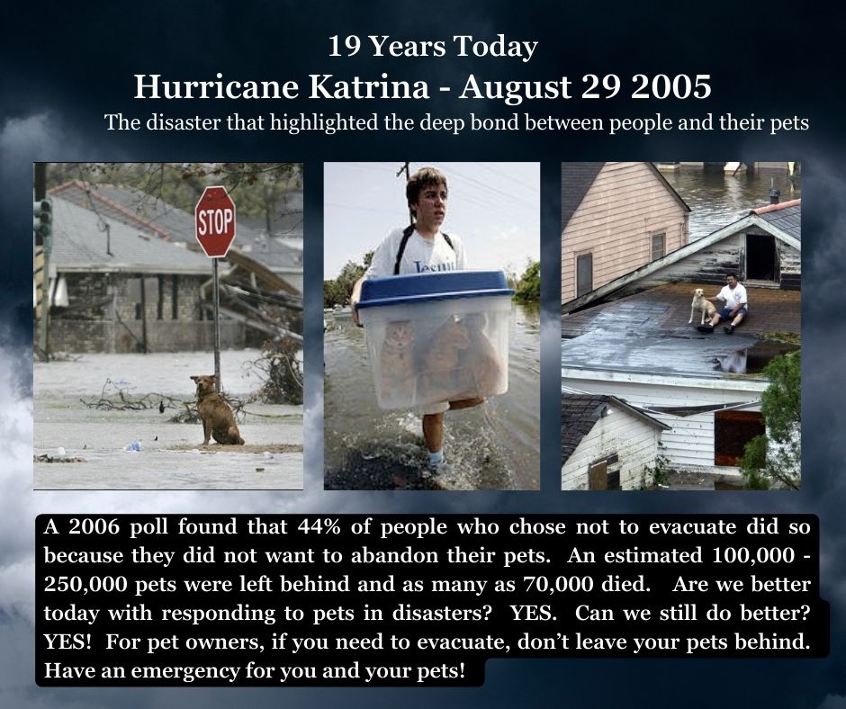 Remembering the  people and animals who lost their lives during Hurricane Katrina.
#HurricaneKatrina #animalsindisasters #petsact