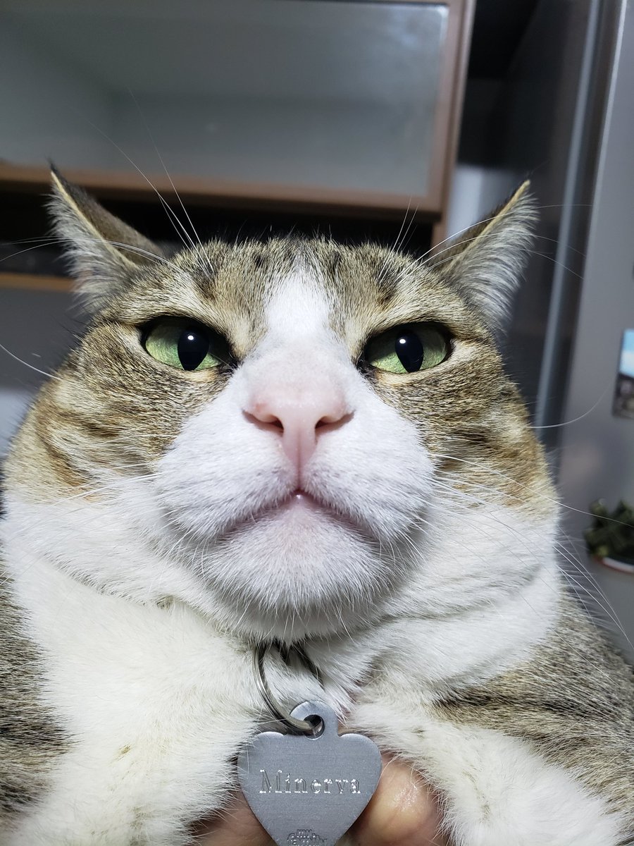 Odd 🍕 tweet media