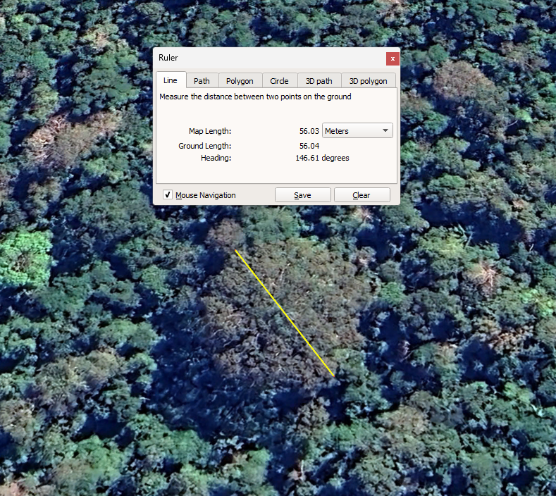 Just discovered the most massive tree I've ever seen in the Amazon rainforest via satellite image—over 50 meters in crown diameter and more than 50 meters in height! 🛰🌳<a href="/CTrees_org/">CTrees</a> <a href="/RicardoDalagnol/">Ricardo Dalagnol</a>