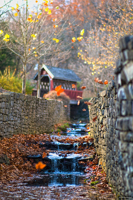 Autumn Waterfall, Loretto, Kentucky #AutumnWaterfall #Loretto #Kentucky nomadnina.com