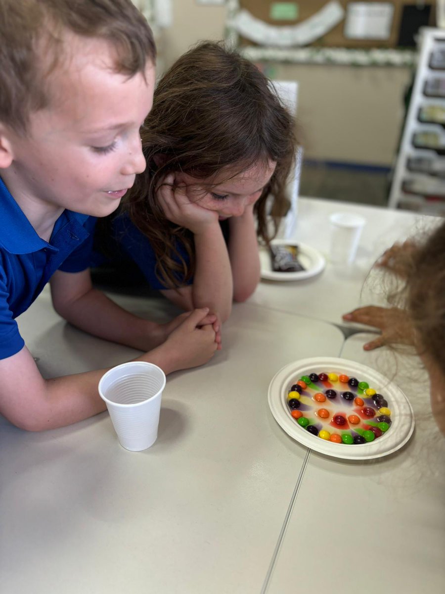 Primary Science | Dubai British School tweet media