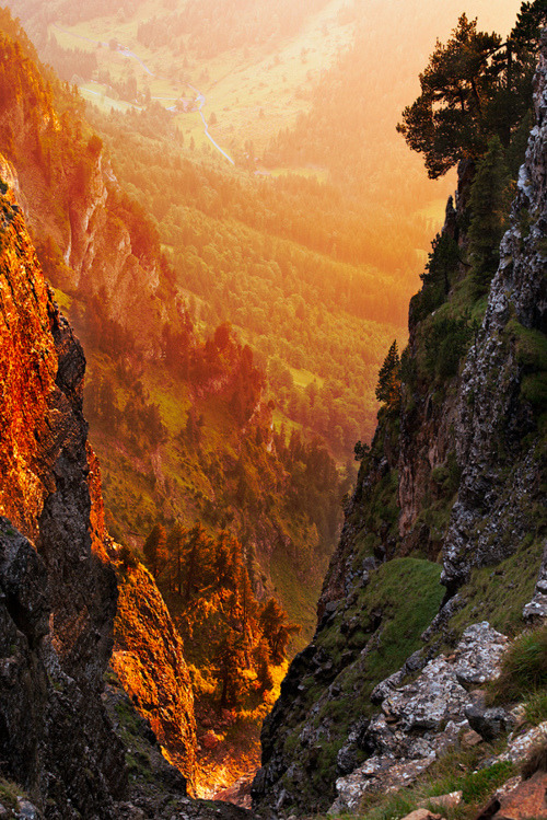 Golden Canyon, The Alps, Switzerland #GoldenCanyon #TheAlps #Switzerland marilynhanson.com