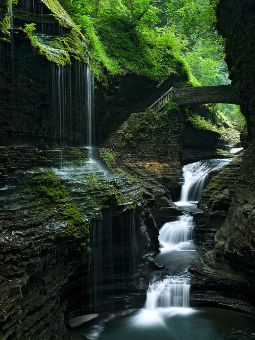 Waterfalling, Watkins Glen, New York #Waterfalling #WatkinsGlen #NewYork roykeller.com