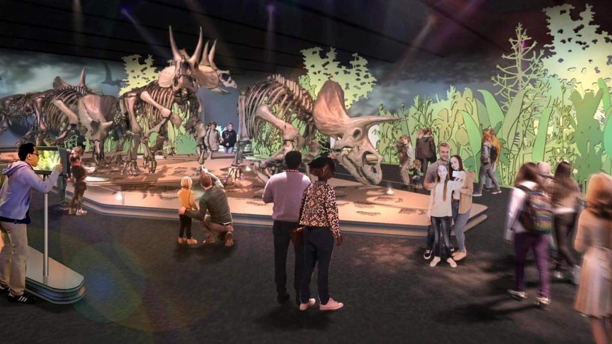 Naturalis op zoek naar grootste dinofans van Nederland ⬇️ leidschdagblad.nl/regio/leiden/n…