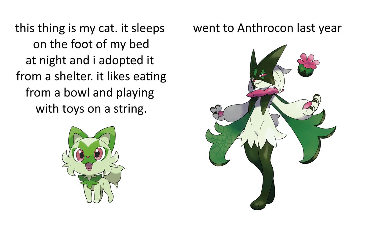 punkittdev tweet picture