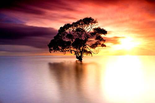 Sunrise, Nudgee Beach, Australia #Sunrise #NudgeeBeach #Australia stacymorley.com