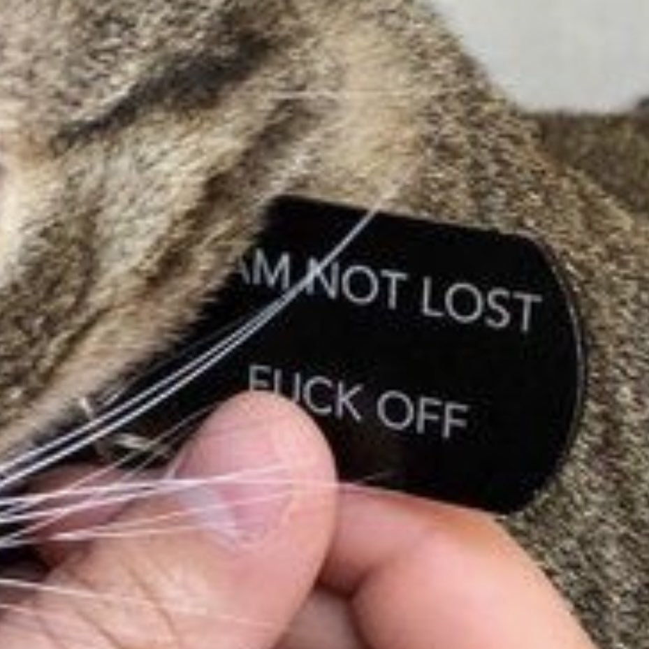 crimsonhours's tweet image. ⠀
⠀
ถ้าซิดเป็นแมว
⠀
⠀