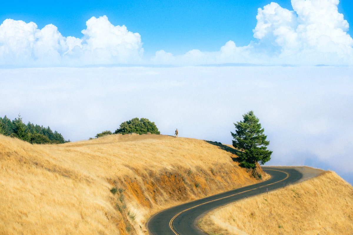 inthemeadow's tweet image. my photography inspired by ghibli