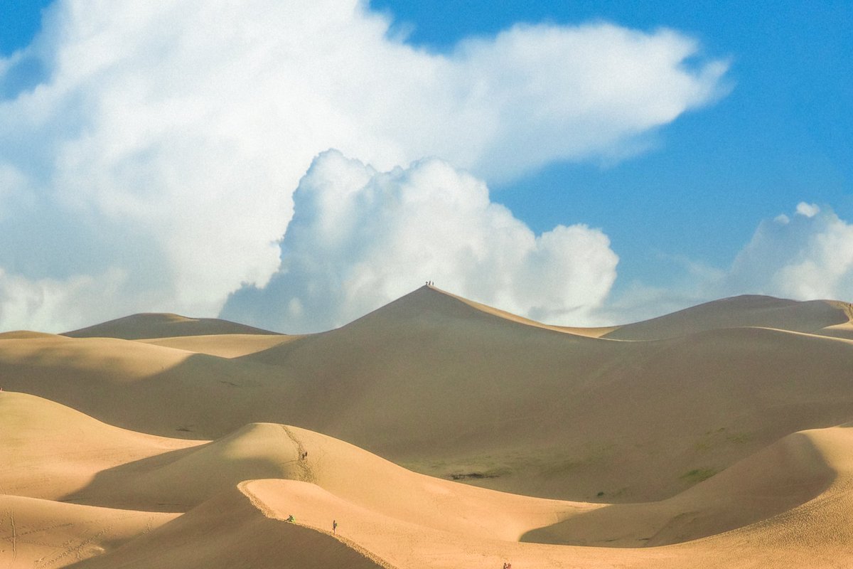 inthemeadow's tweet image. my photography inspired by ghibli