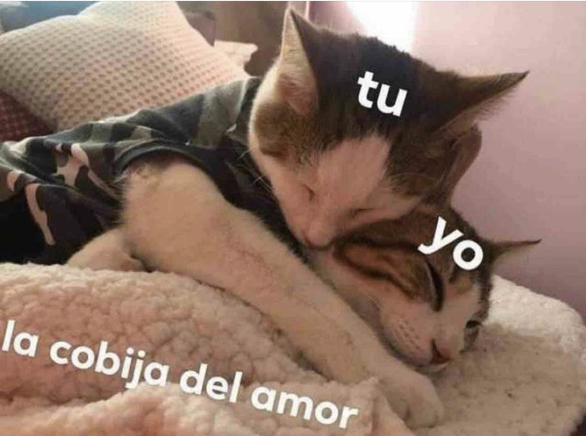 Así mero.