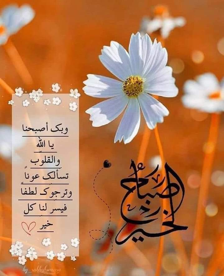 wagaraali6's tweet photo. اللهم  ندعوك بعزتك و جلالك ان لا تصعب لنا حاجة ولا تُعظم علينا  امر و لا تحن لنا قامة
ولا تفضح لنا سراً ولا تكسر لنا ظهراً ..
صباح الخير . https://t.co/MXVjZnZZUT