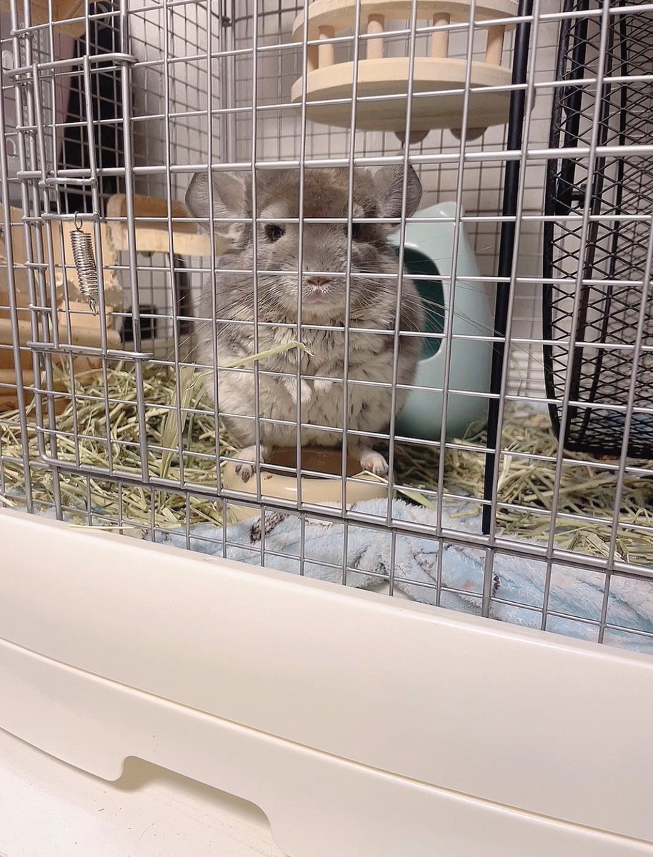 なんか見られてる....