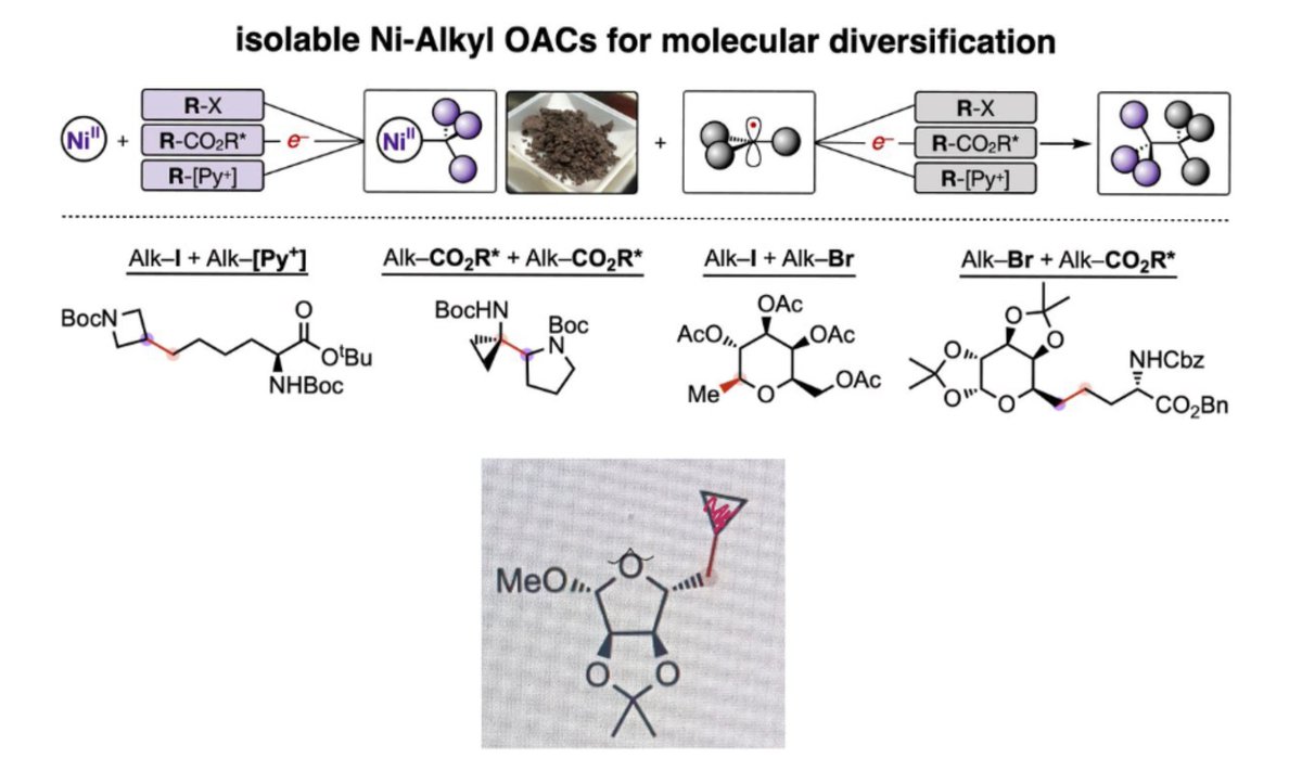 My first ever and first publication as a PhD student from <a href="/SevovLab/">Sevov Lab</a> in collaboration with Merck on isolable Ni-Alkyl complexes for alkyl-alkyl cross-coupling reactions is out in <a href="/Nature/">nature</a>. Many Congratulations 🎉 and thanks to the team and Christo Sevov.
nature.com/articles/s4158…