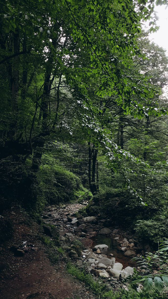 maedehfadaei's tweet photo. Savadkuh,mazandaran,iran
Photo by :malmalche in instagram https://t.co/5ZIqqcOuSG