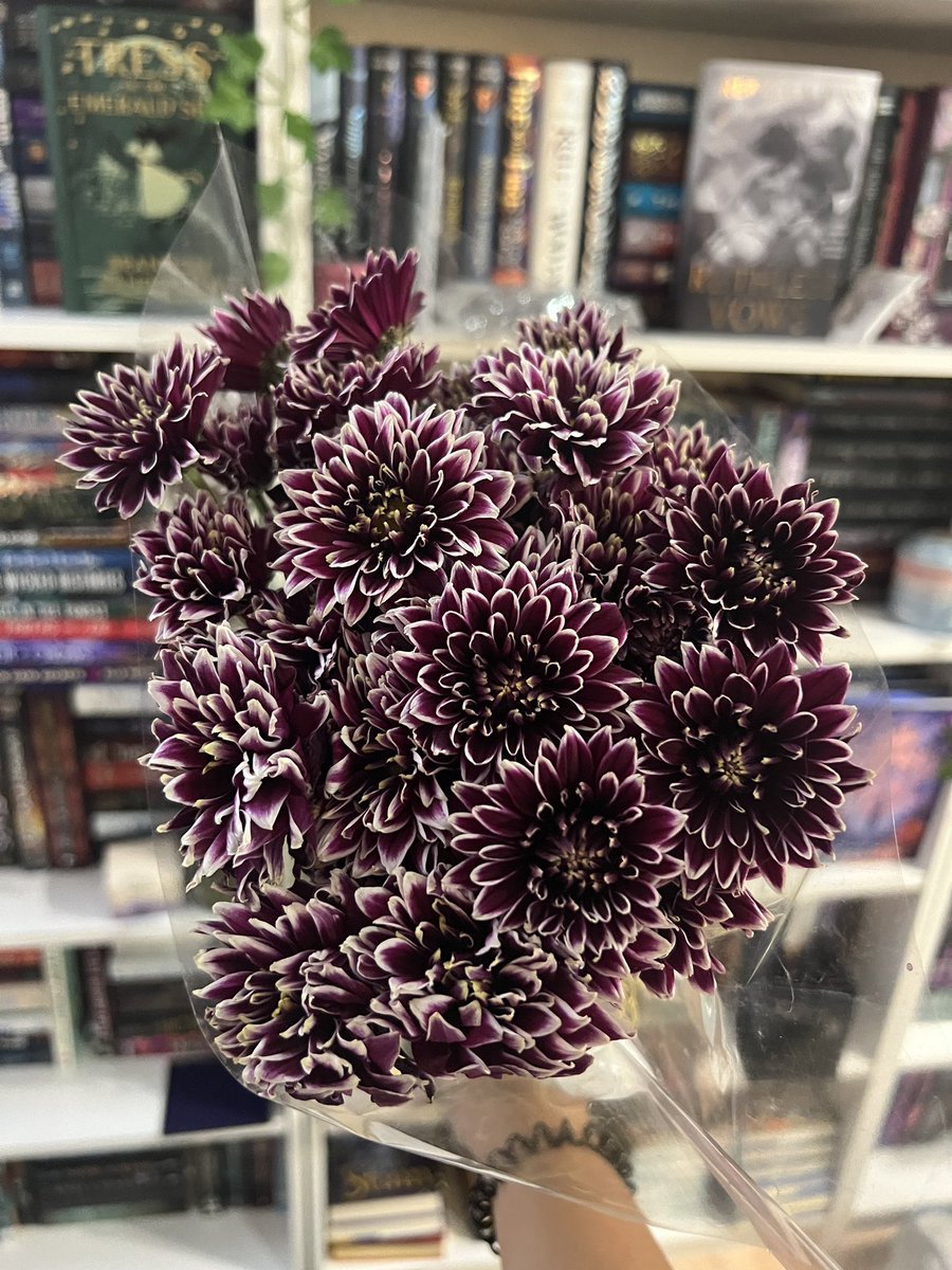 SUAndRead's tweet photo. Birthday flowers 💐 https://t.co/QWpU5VRrpG