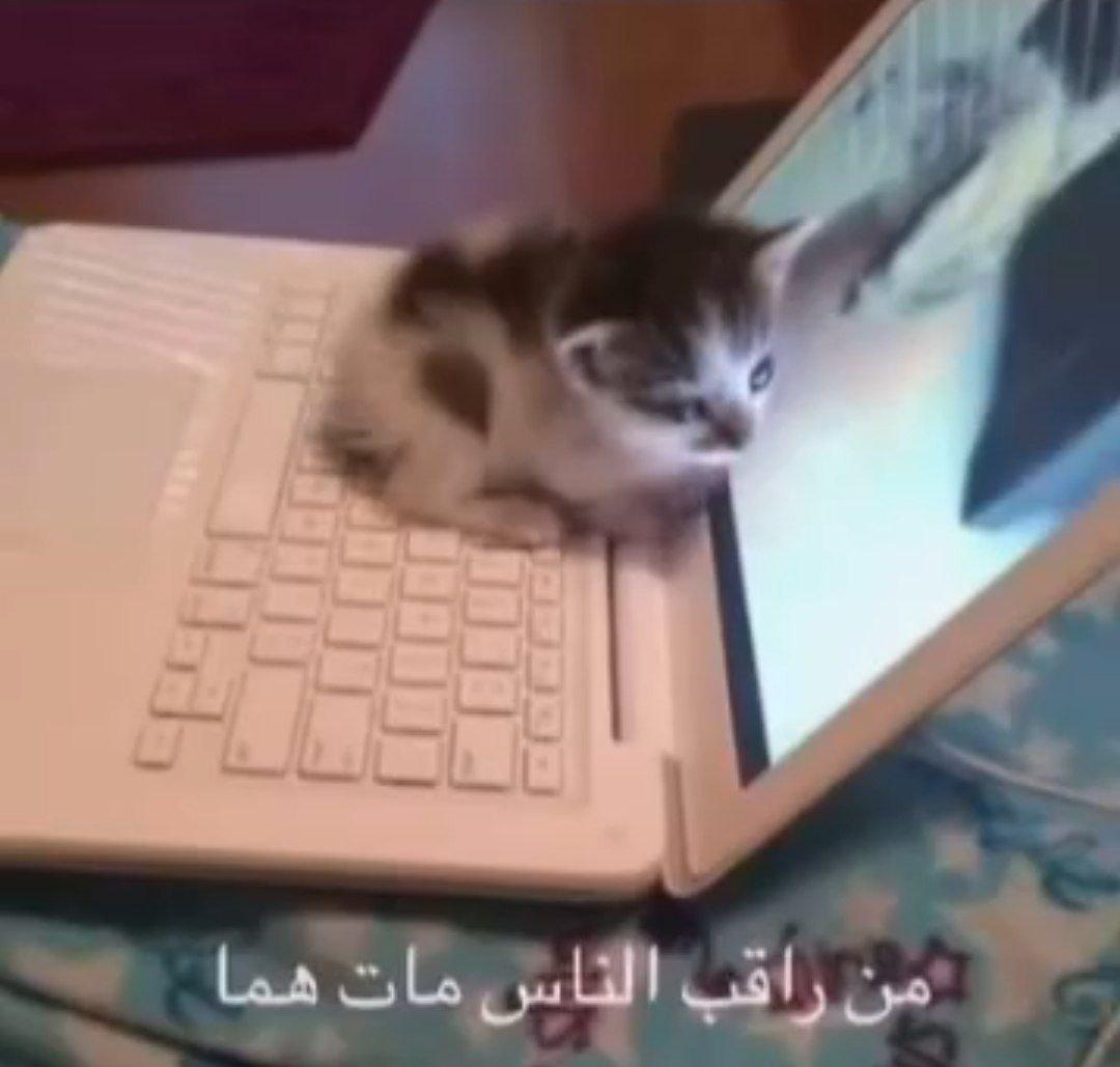 itsesqada's tweet photo. @AboFlah_1 https://t.co/UZcoYJXlfI