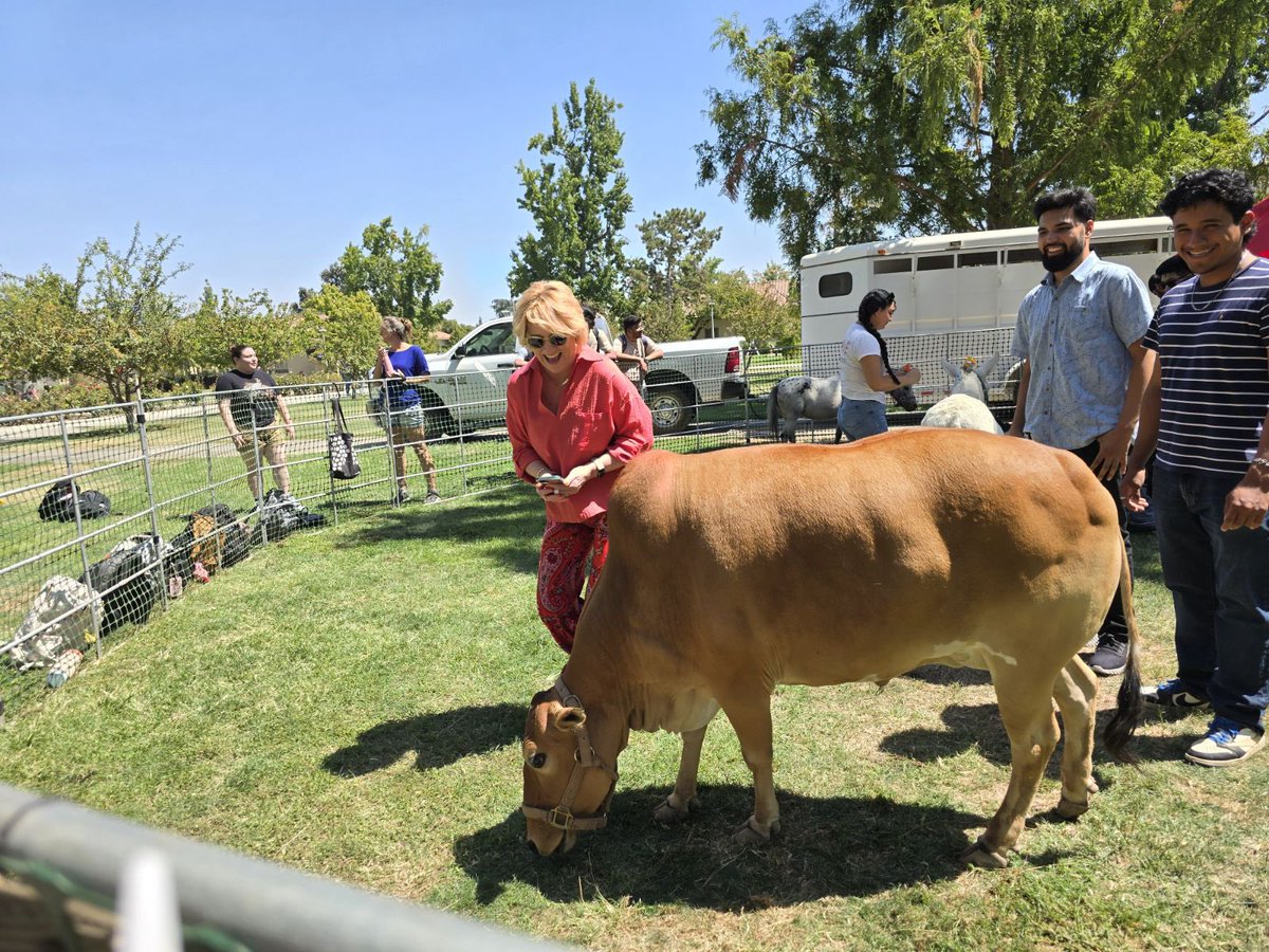 peacekim's tweet photo. First full week+ of Fall ‘24! Exciting times already learning from my students. #MCJ124 #MCJ128 #MCJ128 @FSMCJDept I also got to pet a gorgeous cow during campus #WelcomeWeek @Fresno_State https://t.co/4ccZeCpEH6