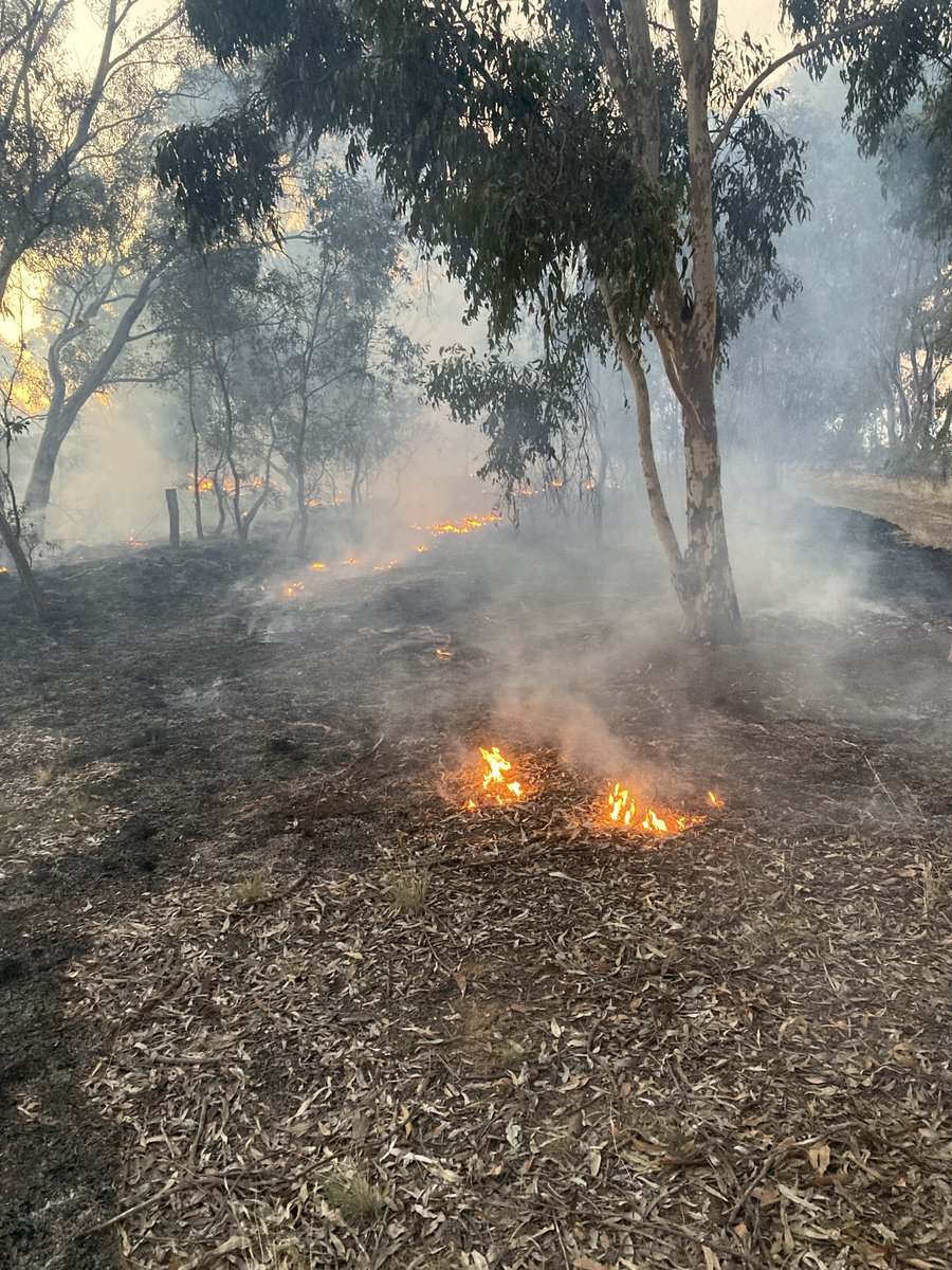 FFMVic's tweet photo. DJAARA conducted a Djandak Wi (Country Fire) cultural burn at Elmore, a site of cultural significance. This burn offered community participation, employment and skills sharing. About 20 Djaara (Dja Dja Wurrung people) led the delivery, supported by #FFMVic and @CFA_Updates https://t.co/R8UEULtBLf