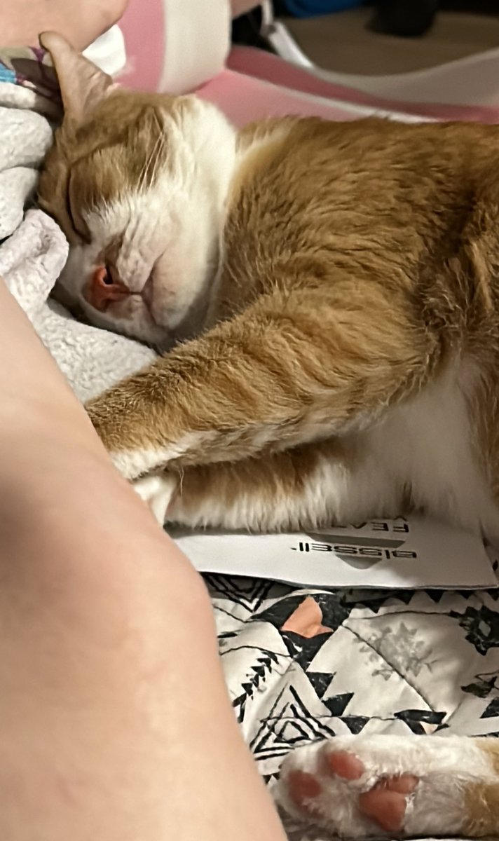 asinginggeek's tweet image. Agreed. All those things. Where would I be without this boy 🥲