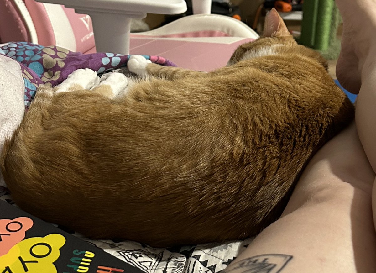 asinginggeek's tweet image. Agreed. All those things. Where would I be without this boy 🥲