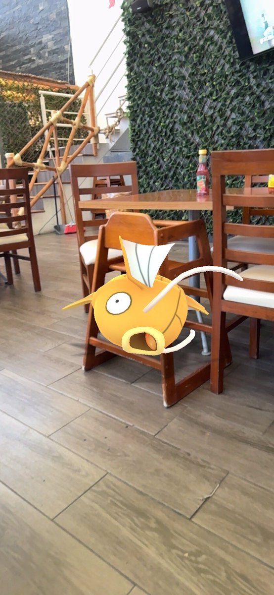 PebetoO's tweet photo. … pez en pescadería 😅 !! 
#PokemonGO https://t.co/AJdAeJ7hAr
