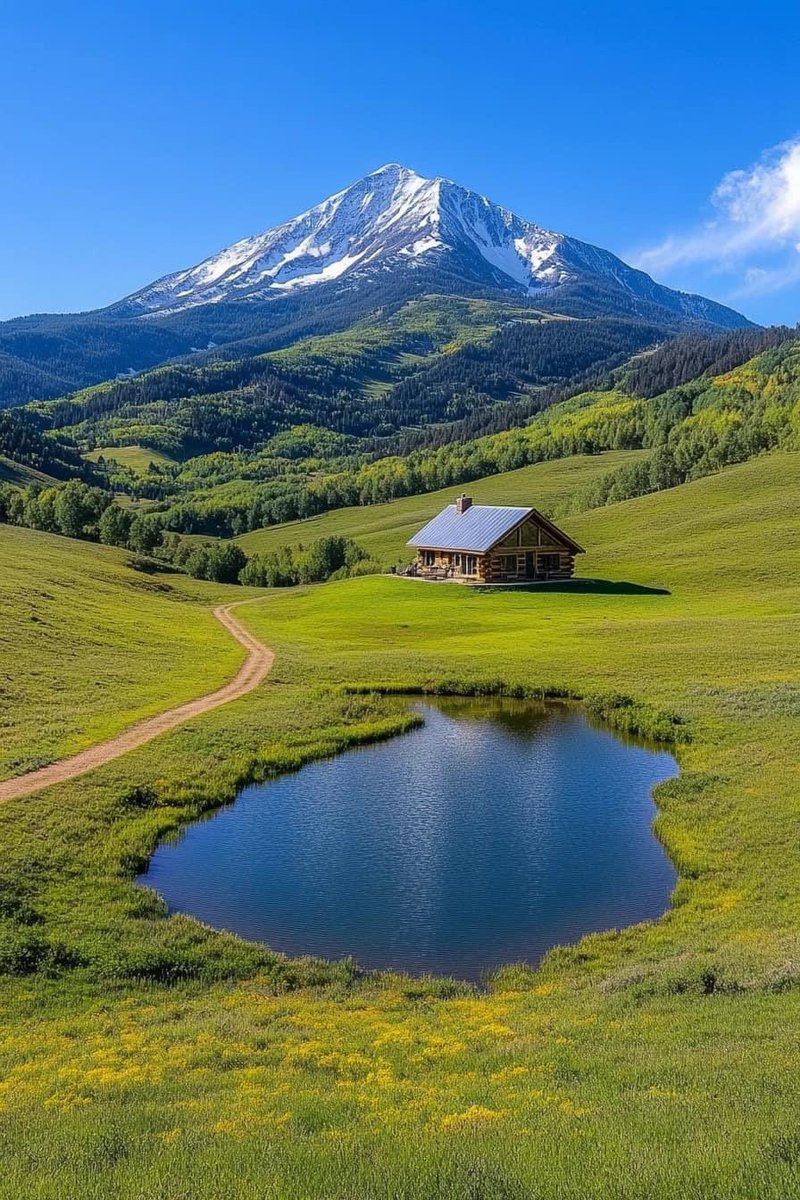 Flyaway Couple tweet media