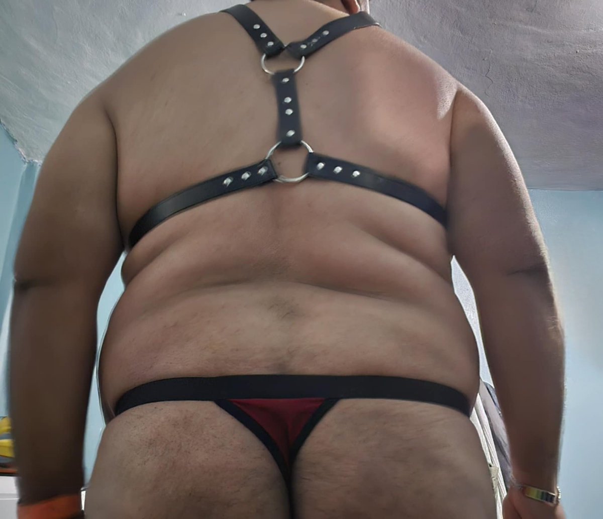 Rod2Sl's tweet image. Listo para que me pongan mi correa y me saquen a pasear. Woff woff!!! #puppies #PuppyLove #puppy