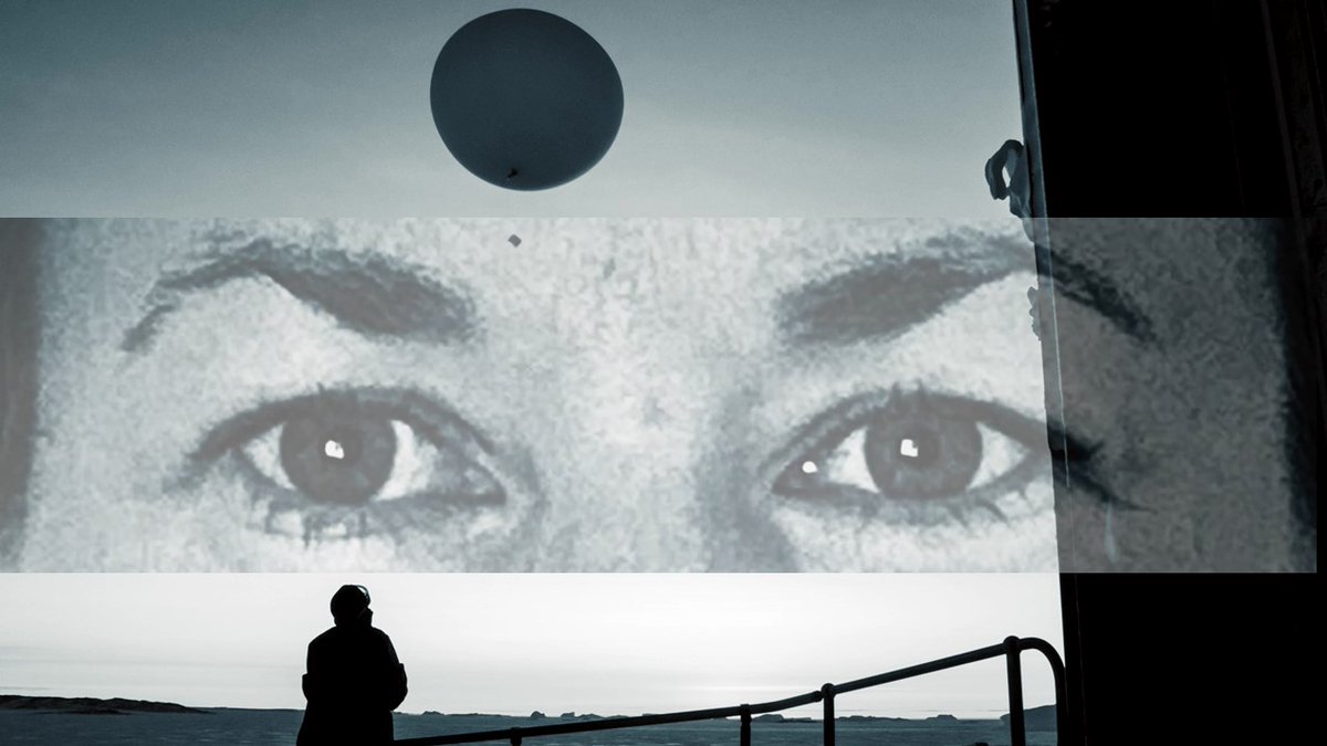 Miranda Nieboer tweet media