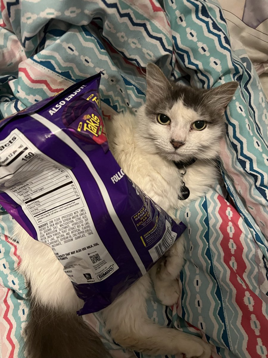 Goodguylepi's tweet image. Goodbye my sweet baby ❤️