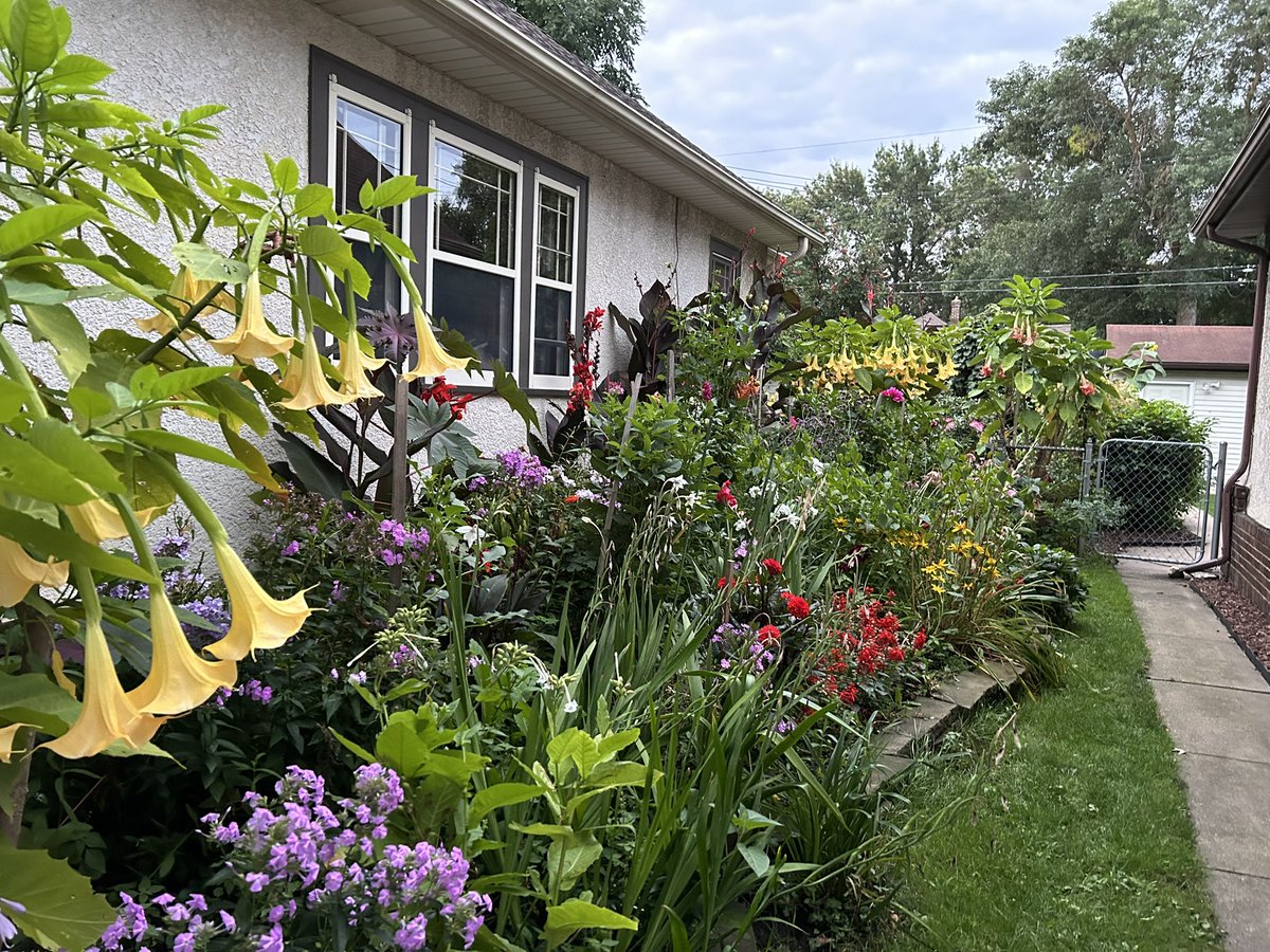 LongfellowMN tweet media