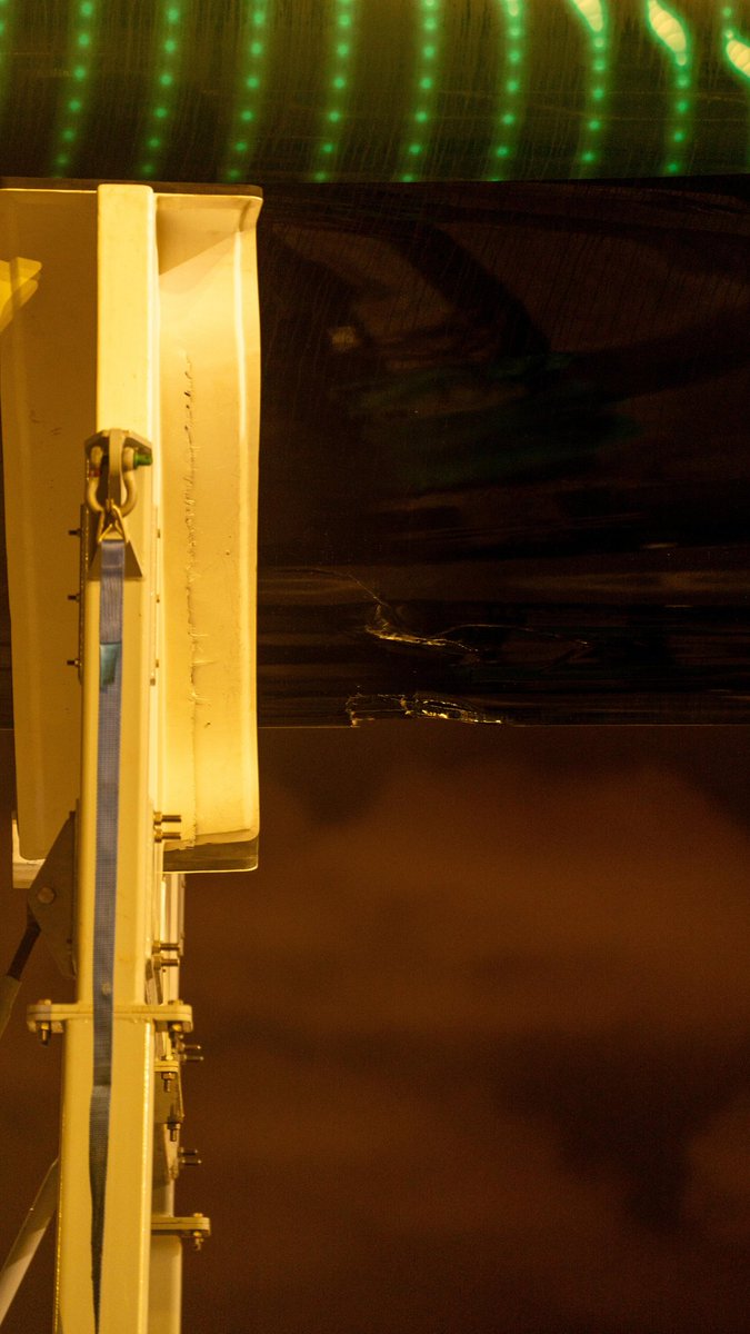 Francesca Zambon tweet media