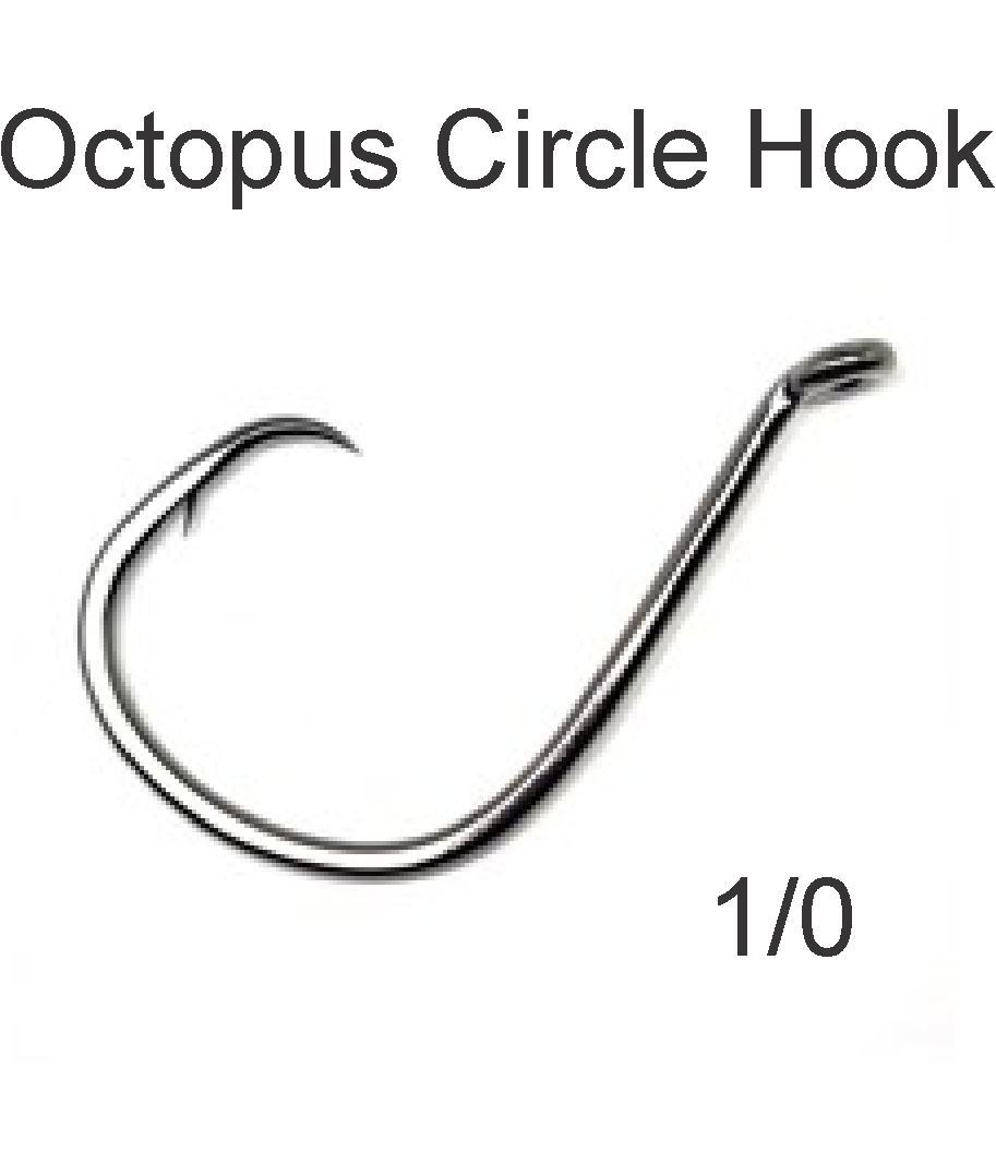 Gus Chef (@guschef1) on Twitter photo A circle hook is a fishing hook manufactured so that the point is turned perpendicularly back to the hook shank to form a generally circular, or oval, shape. Octopus Circle Hooks 1/0 have been specially designed to set in the corner of a fish’s mouth.
apps.engprodtech.com/?product=octop… A circle hook is a fishing hook manufactured so that the point is turned perpendicularly back to the hook shank to form a generally circular, or oval, shape. Octopus Circle Hooks 1/0 have been specially designed to set in the corner of a fish’s mouth.
apps.engprodtech.com/?product=octop…