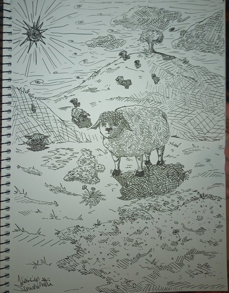 Extranhoo's tweet image. Carneiros