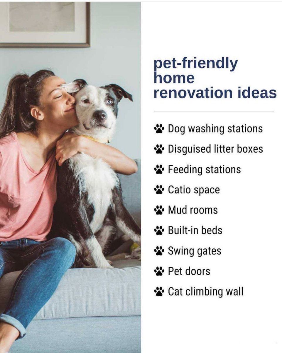 LCHomesSD's tweet photo. 🐱🐶Because our fur babies deserve the best too!
Show us some ❤️ If you agree!
#homeimprovementideas #homeownership #sellingyourhome #sellingyourhometips #sellingprocess #homesellertips #homeownershipgoals #realestatetips #petlover #petloversoftwitter #petlovers https://t.co/Zz9ho5fcXL