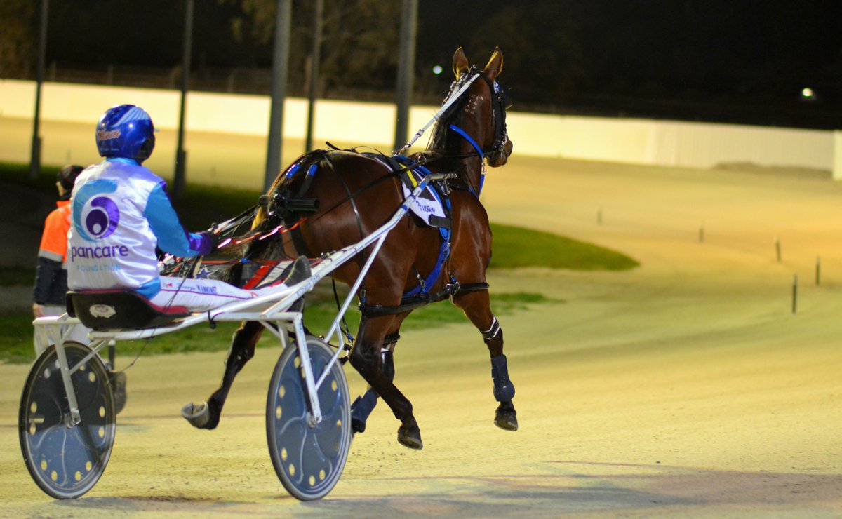 A wing on every hoof...

We love to see it - another brilliant run this week at <a href="/BendigoTrots/">Bendigo Harness</a> from Alice (Alifetimeforliving), flying the flag for <a href="/PancareAus/">Pancare Foundation</a> in the #Vicbred heats - bring on the semi finals!