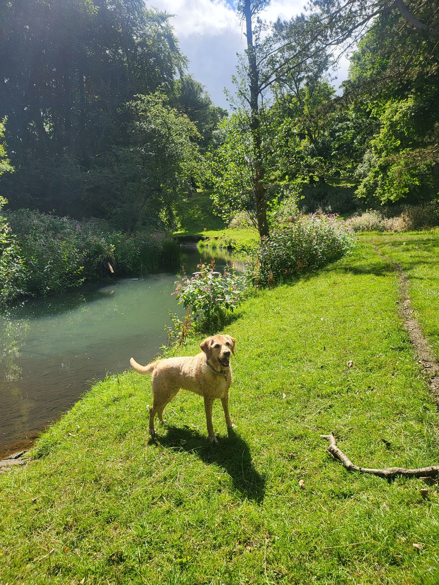 BA62JEFF's tweet photo. Nice walk https://t.co/518IjMr54F