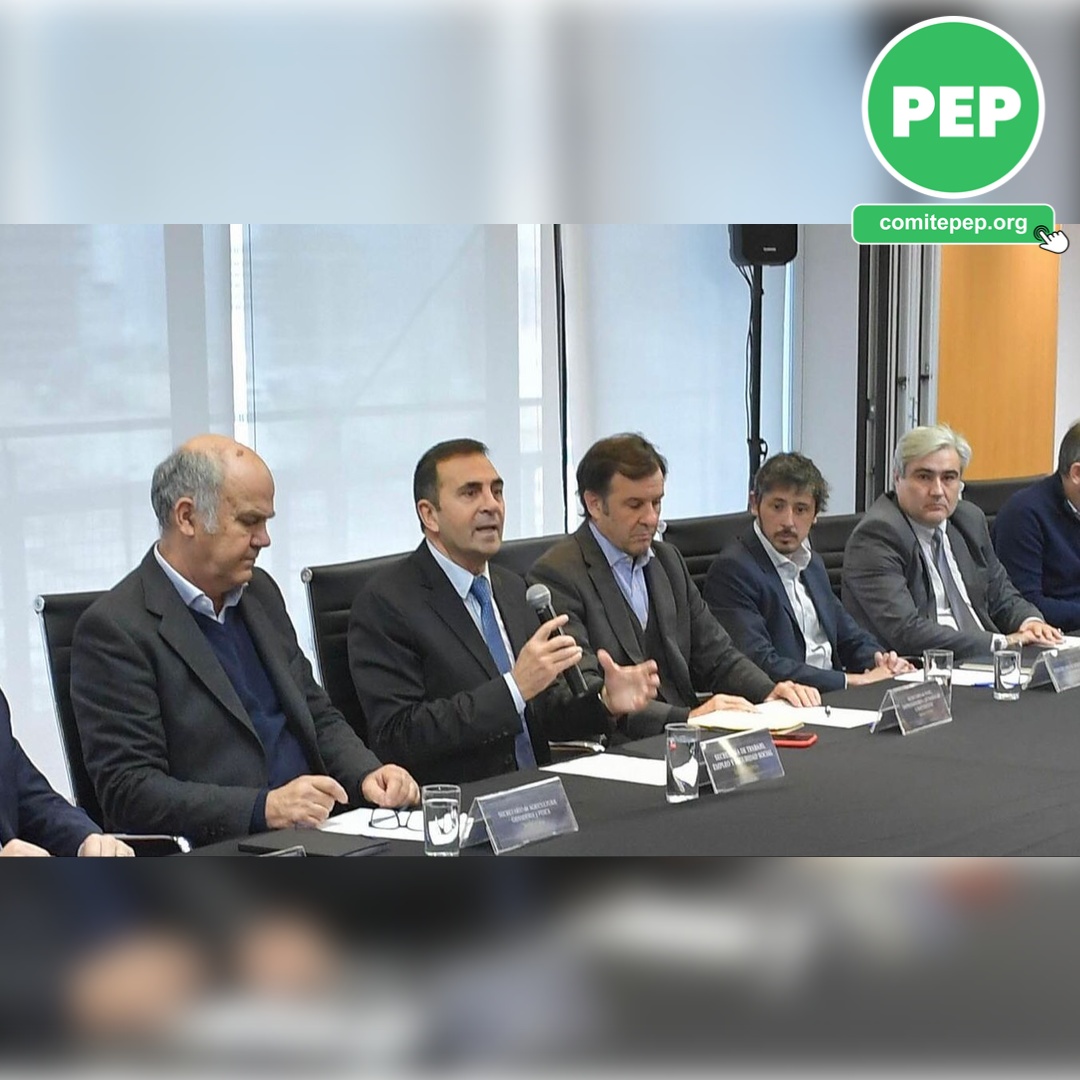 UNEPP_AR's tweet photo. Con la presencia del Secretario de Trabajo Dr. Julio Cordero, el Secretario de Agricultura Ing. Sergio Iraeta, el Secretario de PYMES y Emprendedores Lic. Marcos Ayerra, y el Subsecretario de Desregulaciones del Estado Dr. Agustín Rojo, hoy Rodolfo Llanos del PEP participó de la Mesa de Diálogo. 🤝

Llevamos nuestros temas clave:

Inversiones 💼
Segmentación de incentivos 🎯
Retenciones 🚫
Representación sectorial 📊
Apoyo al DNU en la Corte Suprema ⚖️
Rentabilidad y apreciación de las empresas argentinas 📈

Agradecemos a los 3 secretarios de Estado el lugar de relevancia que nos otorgan. Las banderas siguen en alto, luchando por todo el sector productivo. 🇦🇷

#reformalaboral #reformasindical #reformatributaria