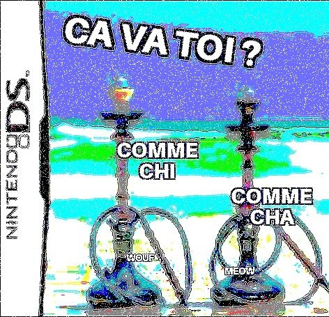 GYGYPROUT's tweet photo. Chicha goût chien et chat https://t.co/9xXDz8z9eF