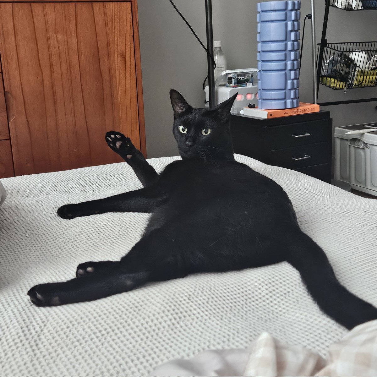 dotkavi's tweet image. 가비의 매력중 하나는 핑크 팥젤리죠.