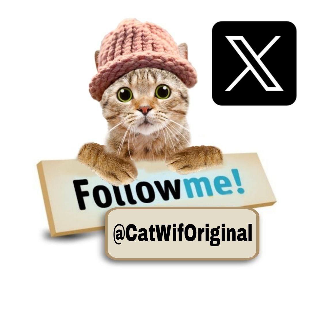 Follow me! Guys
<a href="/CatWifOriginal/">Catwif CTO</a> 🐈🐈🐈