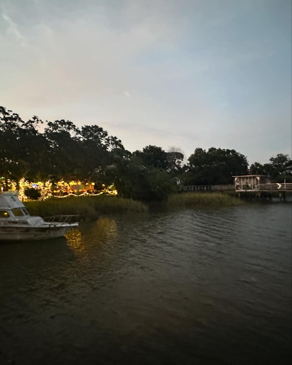 HSpence_'s tweet photo. come on down to my swamp 🌳🌲🌴 lowcountry living 🥹 https://t.co/YQMWOSxbAu