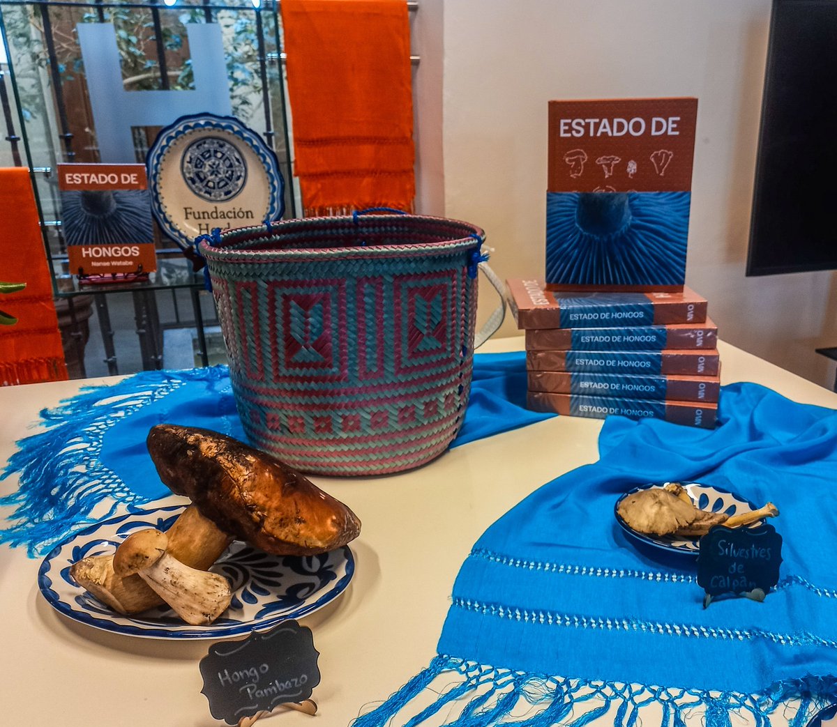SandymoonMX's tweet photo. Presentación del libro Estado de Hongos 🍄‍🟫🍄 de Nanae Watanabe en @fundacionherdez, hay cultura, historia, traición y recetas sobre hongos del Estado de México, Puebla y Oaxaca, mañana la reseña #lectura #hongos #herdez #cdmx #samdymoon #disecciontv https://t.co/m1hj6XrsY7