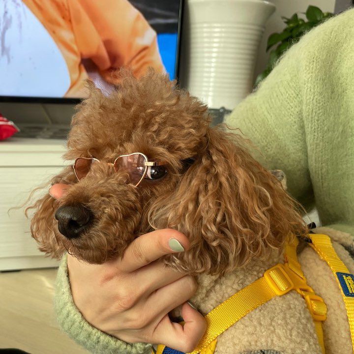 jsj_kibum's tweet photo. @/kikirangers update: #JSJPICS ๐ธ
de mais cedo, o chopper saindo comigo pra fazer a unha e comprovar que verde รฉ a melhor cor (a dele รฉ amarela) https://t.co/pmzLLfb6EJ