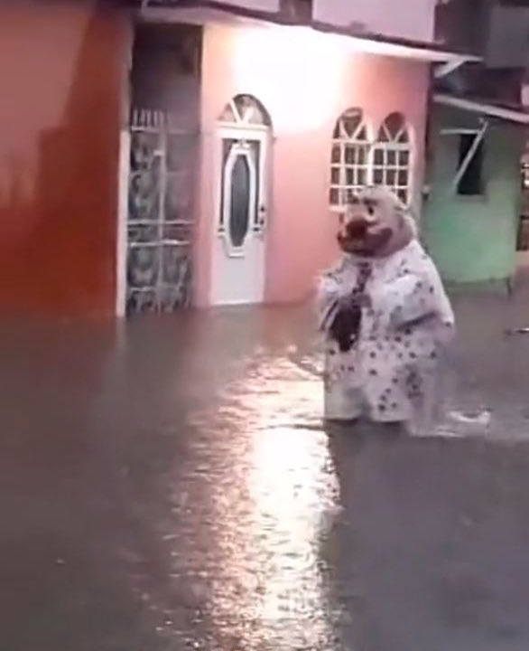quizá en el fondo no somos más que un doctor simi manchado de lodo caminando solo bajo una tormenta en una calle inundada