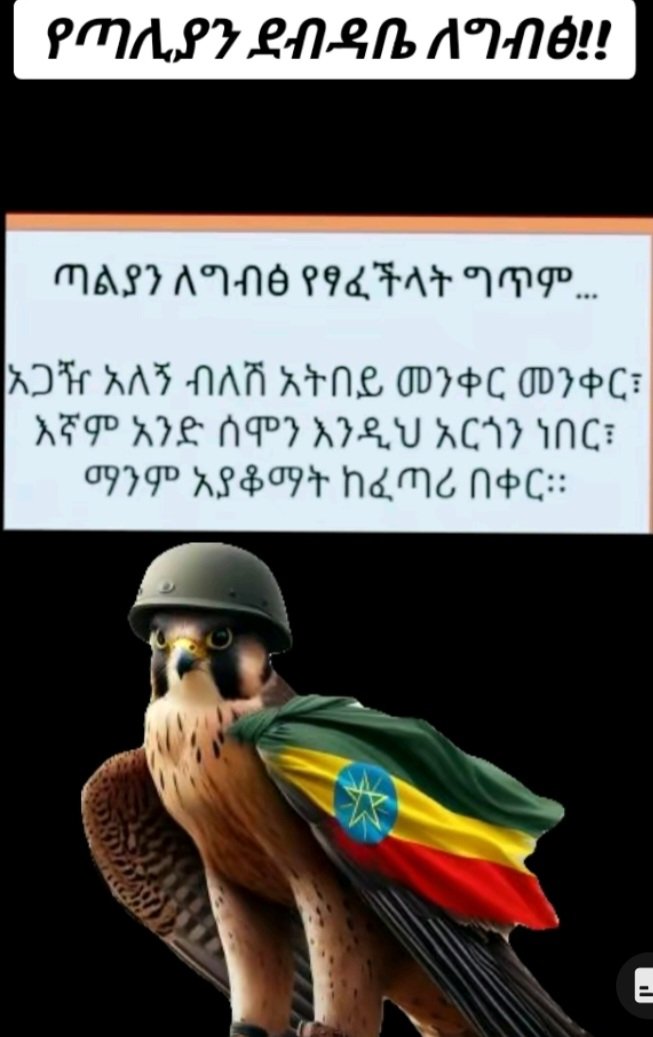 HEthiopiawit's tweet photo. ትላንትም ኢትዮጵያ‼️
ዛሬም ኢትዮጵያ‼️
ነገም ኢትዮጵያ‼️
ምስርና ሱማሊያን ደግፈህ ኢትዮጵያ ትውደም እያልክ ከበሮ ስትደልቅ አስብበት በራስህ ገመድ እንዳትታነቅ‼️
#IStandWithENDF
@TheVillaSomalia translate this😌 https://t.co/AL9ezK3SIT