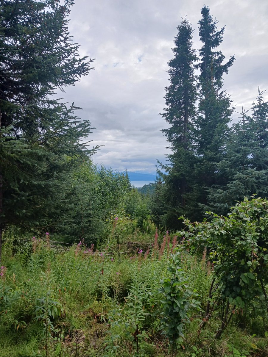 needhamCD's tweet photo. @georainbolt I have no doubts, where am I? https://t.co/9lBXTcOLSr
