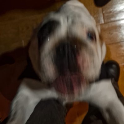 TibuGodz's tweet photo. #NuevaFotoDePerfil https://t.co/JH1VtBtJCA
