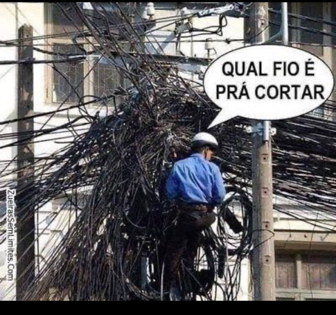 Isaiasbewitch's tweet photo. ⁦@elonmusk⁩ ⁦@jairbolsonaro⁩ ⁦@nikolas_dm⁩ https://t.co/76pBwR5M6n