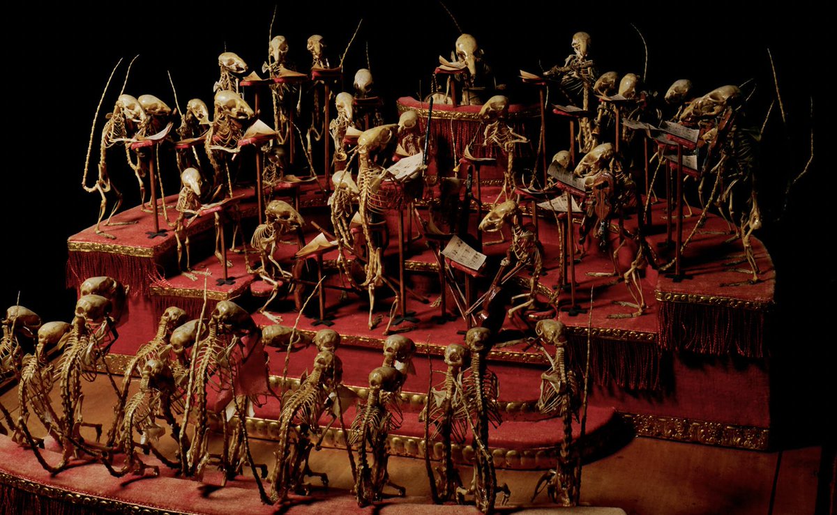 E. J. van der Mijle's mice-skeleton orchestra, as photographed by Lena Herzog.